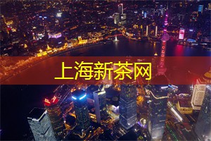 上海龙凤419：一次非凡的夜间上海游，伴随夜幕探索城市变幻