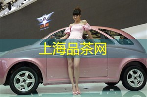 上海花千坊：追寻百年历史：探索上海五个殖民地风情街区