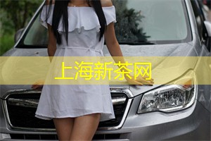 上海新茶资源：上海会所潮流聚焦：时尚达人们争相打卡的热门场所!