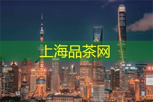 爱上海419论坛：港口的喧嚣与夜晚的沉静交响